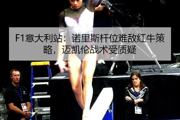 yi-da-li-zhan-nuo-li-si-gan-wei-nan-di-hong-niu-ce-lve-mai-kai-lun-zhan-shu-shou-zhi-yi-2-100.jpg